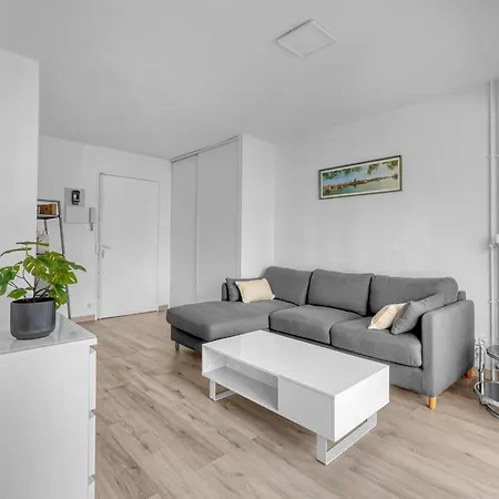 Le Jaussely - En Hypercentre Avec Balcon *