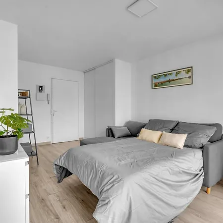 Le Jaussely - En Hypercentre Avec Balcon Apartman